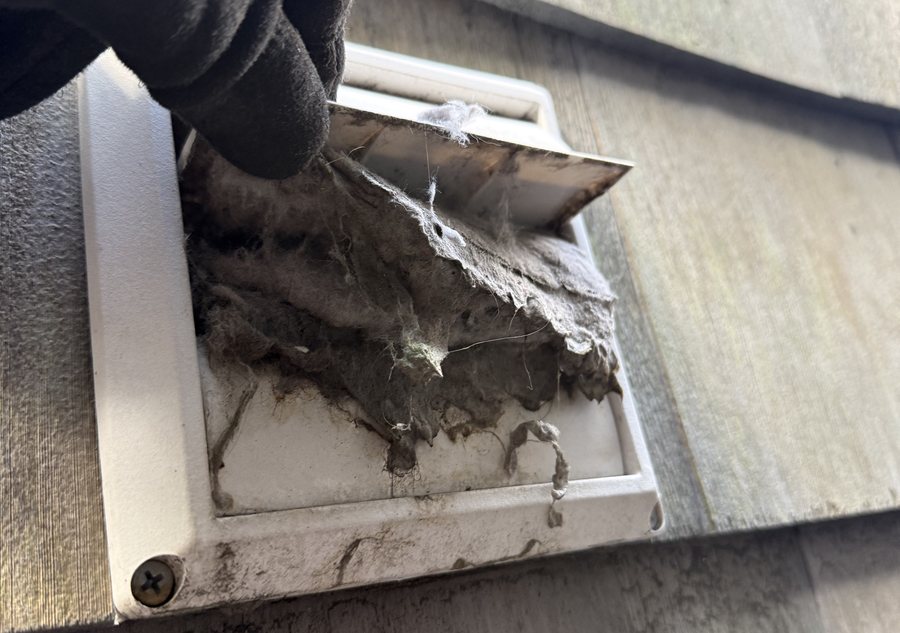 Lint removed from an exterior dryer vent