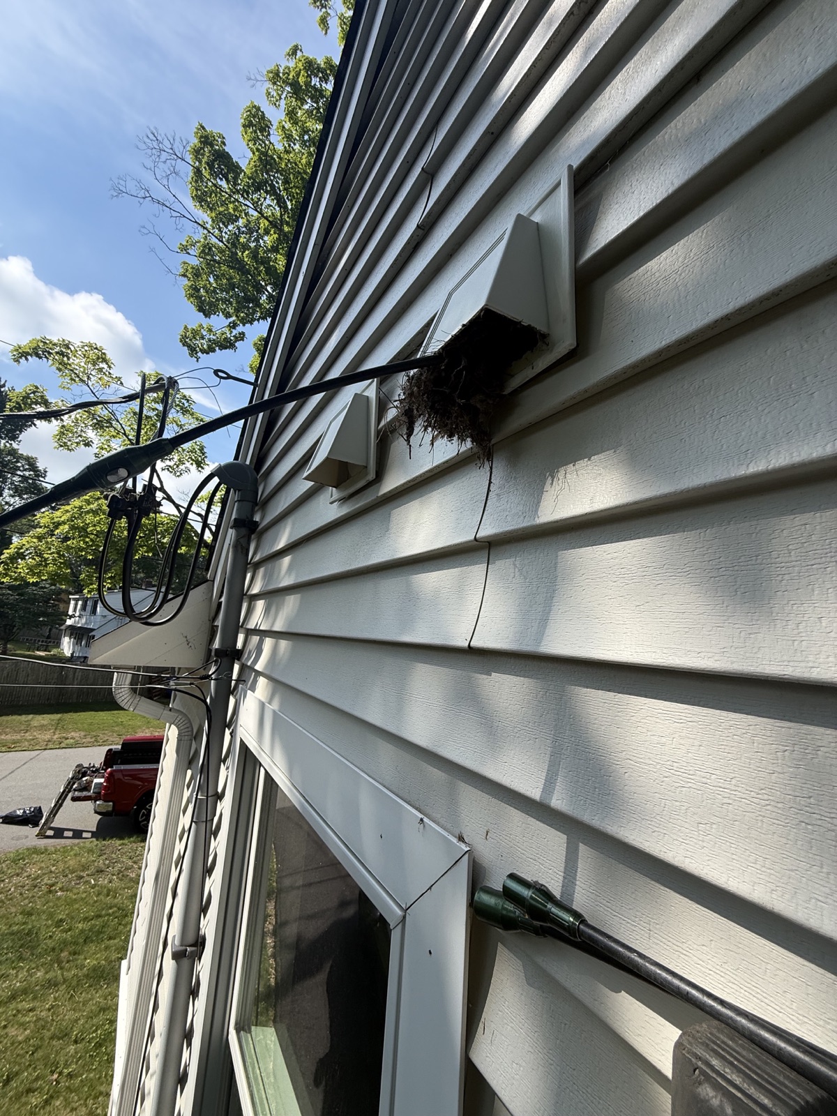 Bird nest blocking dryer vent in Reading MA