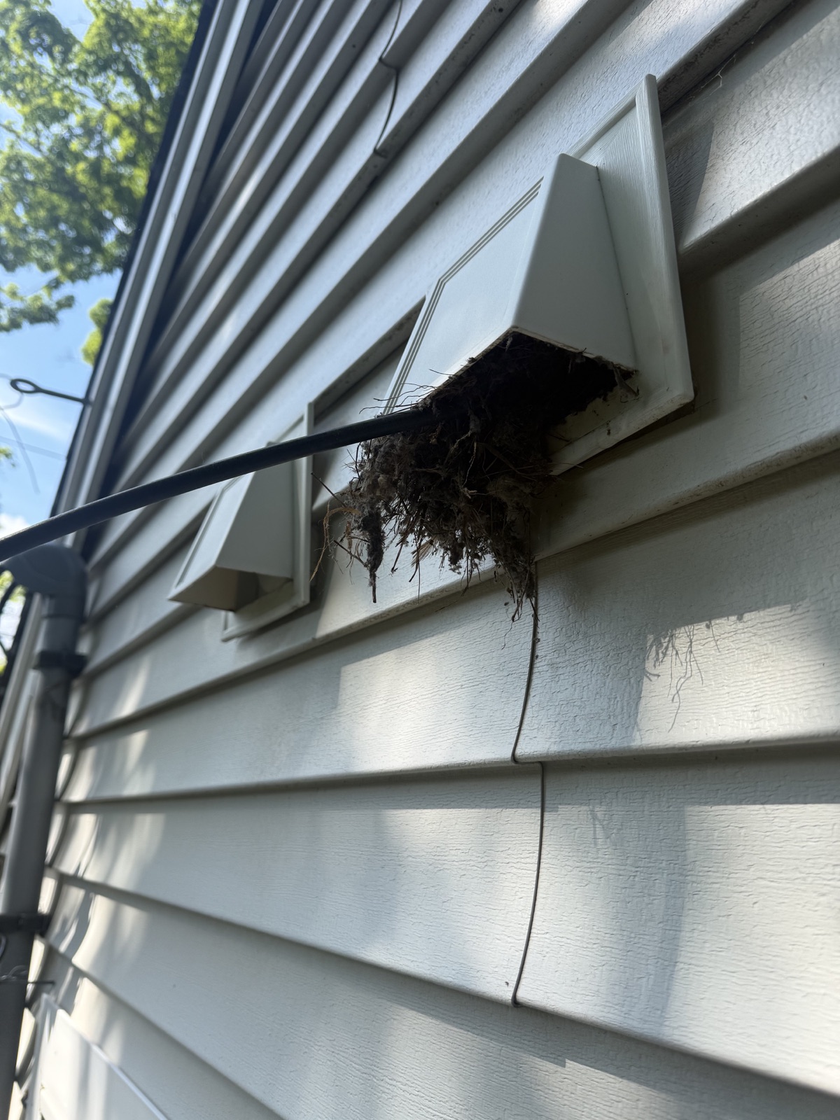 Dryer vent bird nest removal in Reading MA